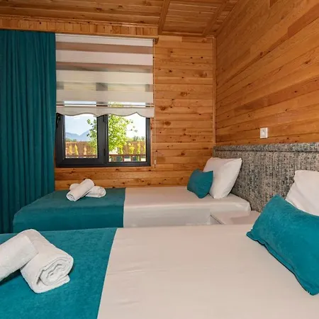 Cedrus 1-2-3-4-5 Vilă Fethiye